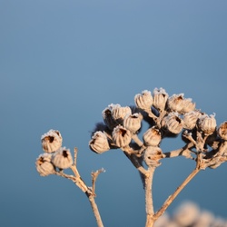2016-12 France/St Malo/DSC_1052.JPG